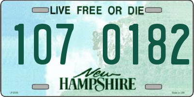 NH license plate 1070182