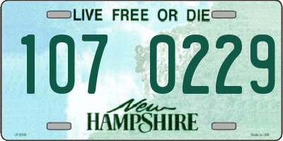 NH license plate 1070229