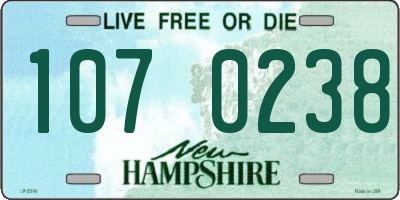 NH license plate 1070238