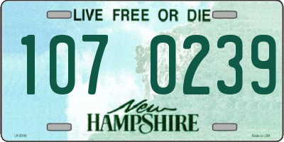 NH license plate 1070239