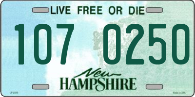 NH license plate 1070250