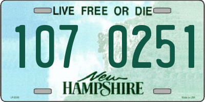 NH license plate 1070251