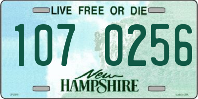 NH license plate 1070256