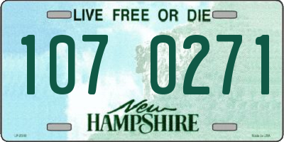 NH license plate 1070271