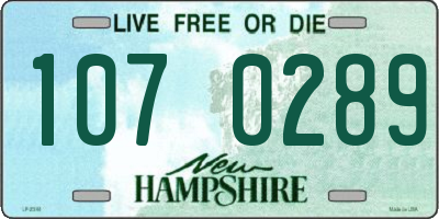 NH license plate 1070289