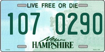 NH license plate 1070290