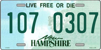 NH license plate 1070307