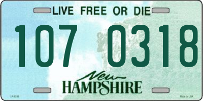 NH license plate 1070318