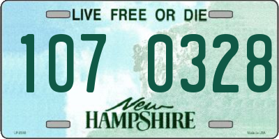 NH license plate 1070328
