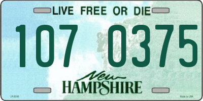 NH license plate 1070375