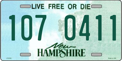 NH license plate 1070411