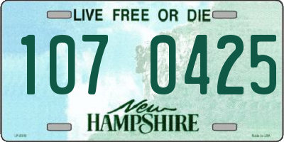 NH license plate 1070425