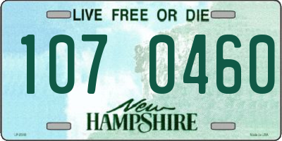 NH license plate 1070460