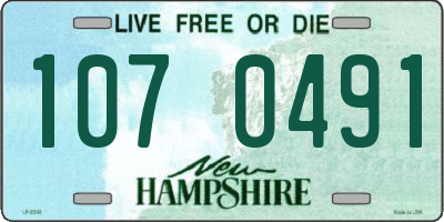 NH license plate 1070491
