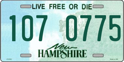 NH license plate 1070775