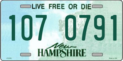 NH license plate 1070791