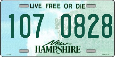 NH license plate 1070828