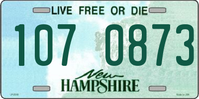 NH license plate 1070873