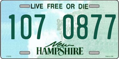 NH license plate 1070877