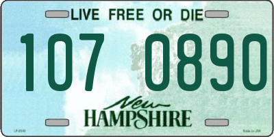 NH license plate 1070890