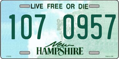 NH license plate 1070957
