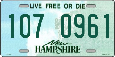 NH license plate 1070961