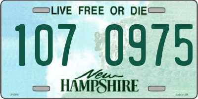 NH license plate 1070975