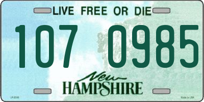 NH license plate 1070985