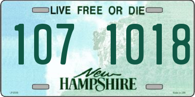 NH license plate 1071018
