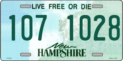 NH license plate 1071028