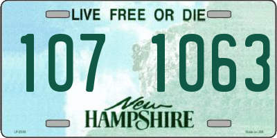 NH license plate 1071063