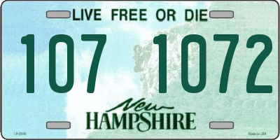 NH license plate 1071072