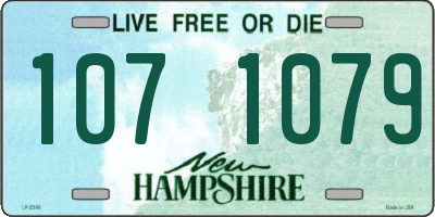 NH license plate 1071079