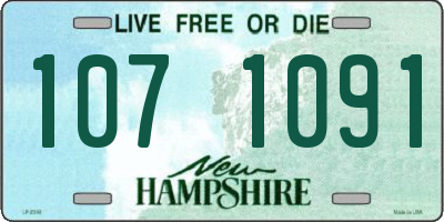 NH license plate 1071091