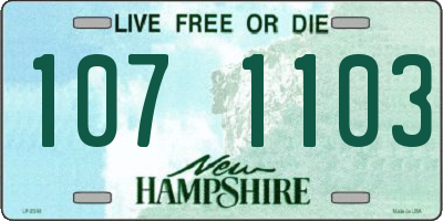 NH license plate 1071103
