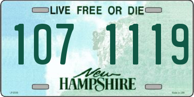 NH license plate 1071119