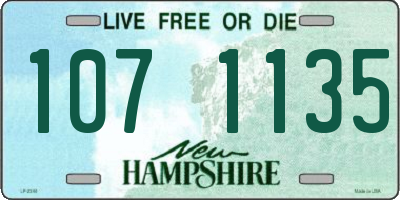 NH license plate 1071135