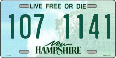 NH license plate 1071141