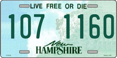 NH license plate 1071160