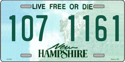 NH license plate 1071161