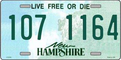 NH license plate 1071164