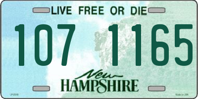 NH license plate 1071165