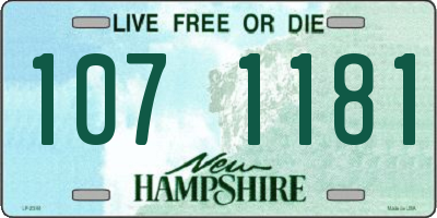 NH license plate 1071181