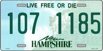 NH license plate 1071185