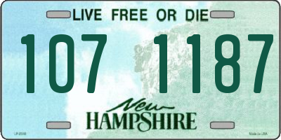 NH license plate 1071187