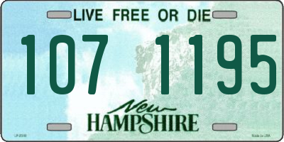 NH license plate 1071195