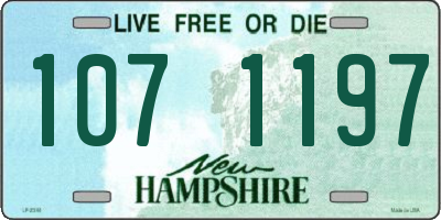 NH license plate 1071197