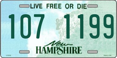 NH license plate 1071199