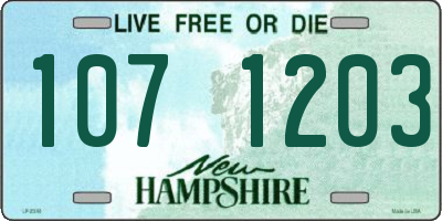 NH license plate 1071203