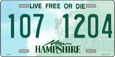 NH license plate 1071204